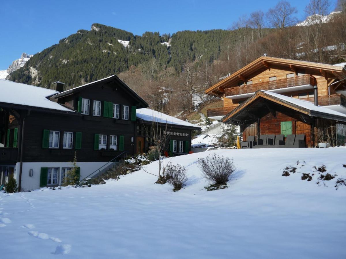 Apartment Chalet Schwendihus-6 Grindelwald Exterior foto
